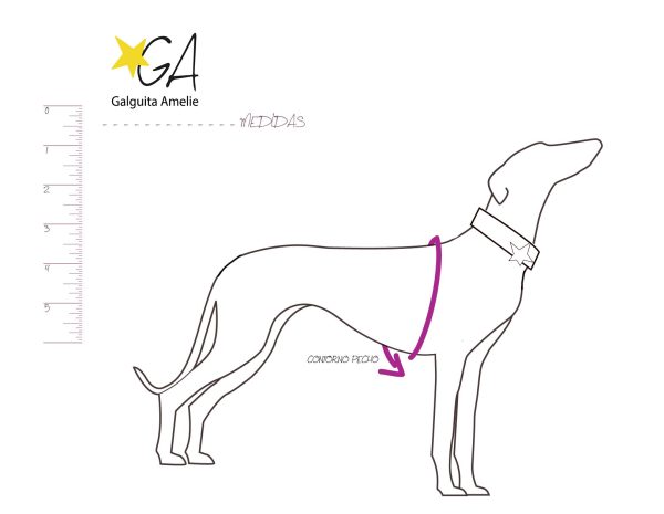 cómo medir a tu perro