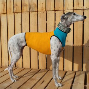 Peto licra básica para perros