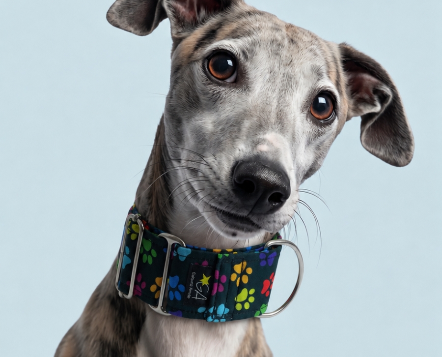 Collar Martingale