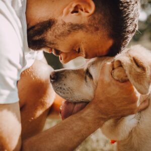 Snacks y premios naturales para perros