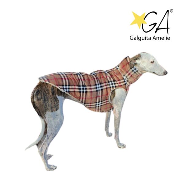 Chaleco para Perros Brownie