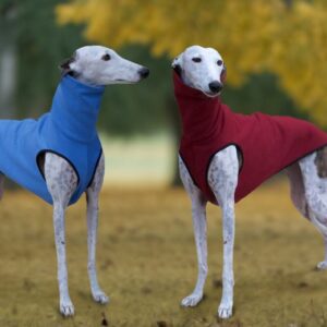 Sudadera para galgos y podencos