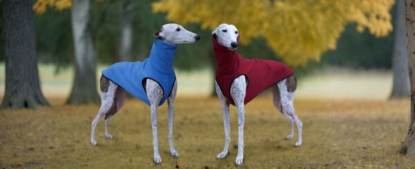 Sudadera para galgos y podencos