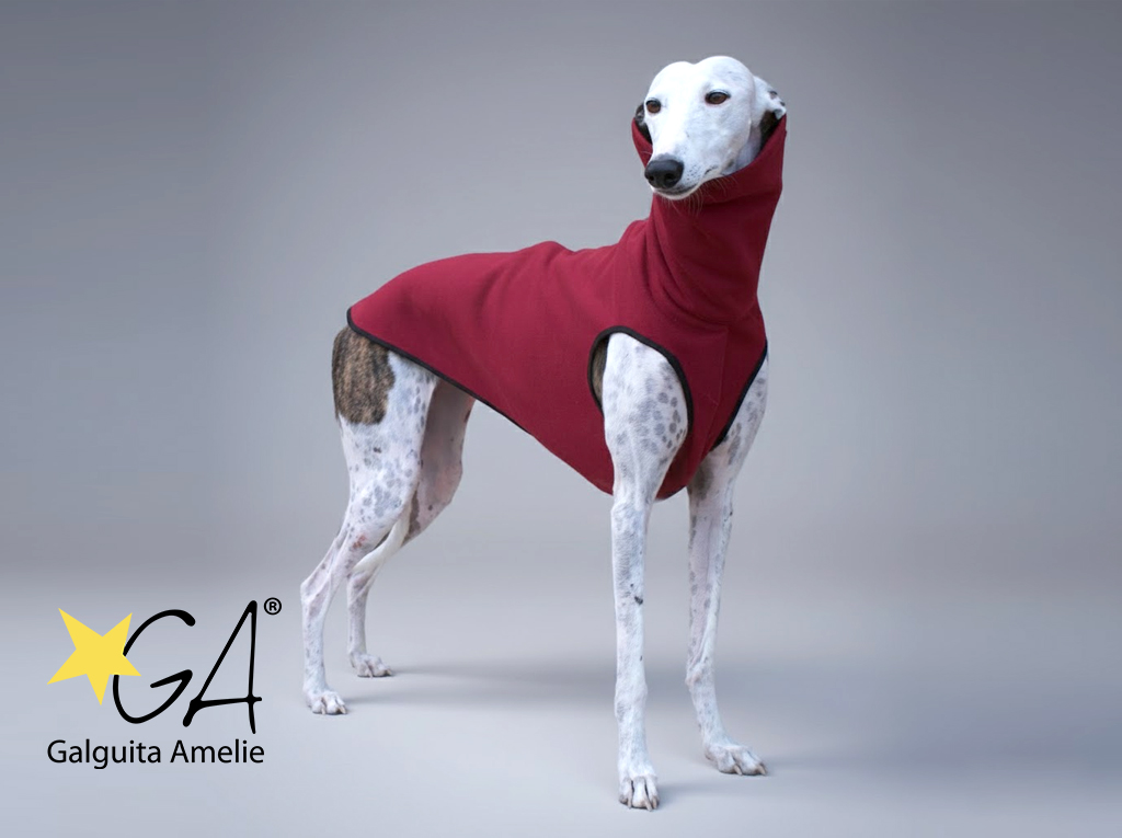 Sudadera para galgos y podencos - Imagen 2