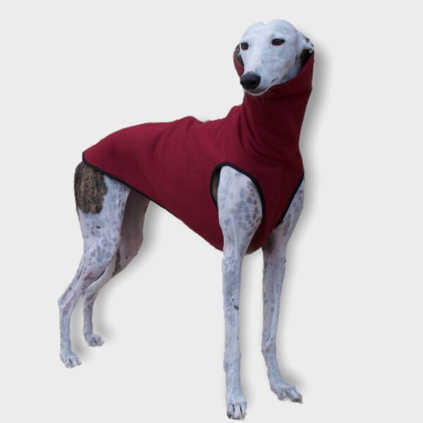 Sudadera para galgo y podenco