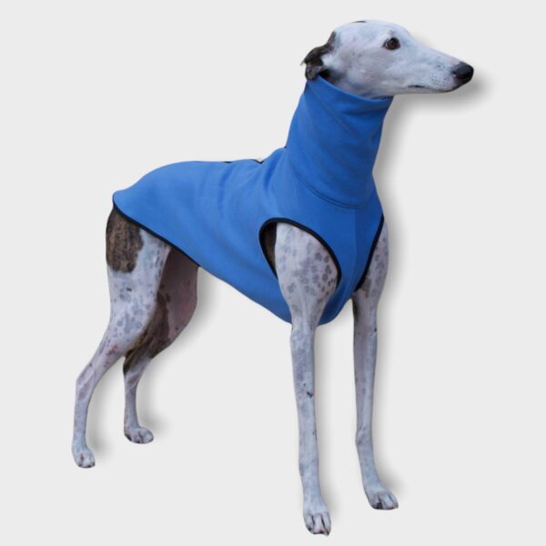 Sudadera para galgo y podenco