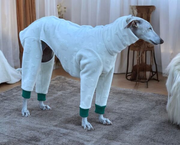 pijama galgo