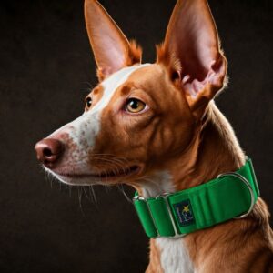 Collares Martingale Colores lisos